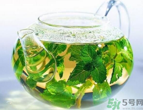 薄荷茶怎么泡好喝？薄荷茶的沖泡方法有哪些？