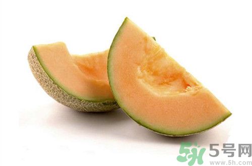 西州蜜瓜是哈密瓜嗎?西州蜜瓜和哈密瓜的區(qū)別 西州蜜瓜是哈密瓜嗎?西州蜜瓜和哈密瓜的區(qū)別