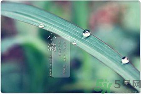 小滿容易得什么皮膚?。啃M得了皮膚病怎么辦？