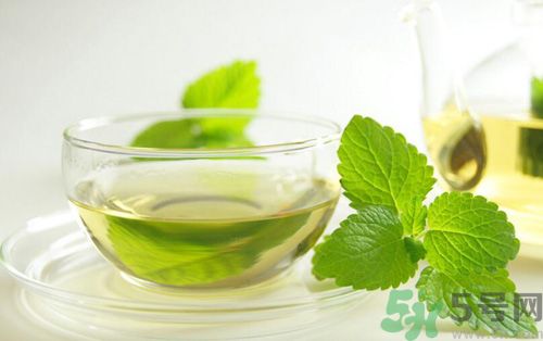  孕婦可以喝薄荷茶嗎？孕婦能喝薄荷泡的茶嗎？