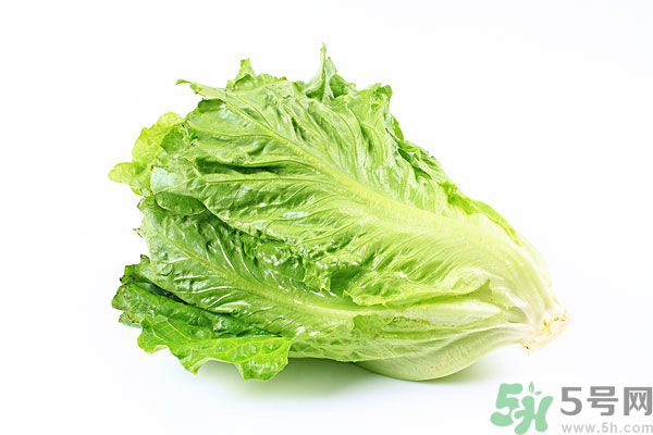 生菜在冰箱放久了能吃嗎？如何分辨生菜新不新鮮？