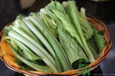 苦菜是熱性還是涼性？苦菜是涼性的嗎？