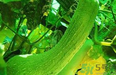 1463725917596012.jpg Image 007.jpg