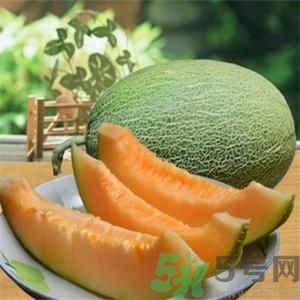 吃哈密瓜可以喝可樂(lè)嗎？喝可樂(lè)可以吃哈密瓜嗎？