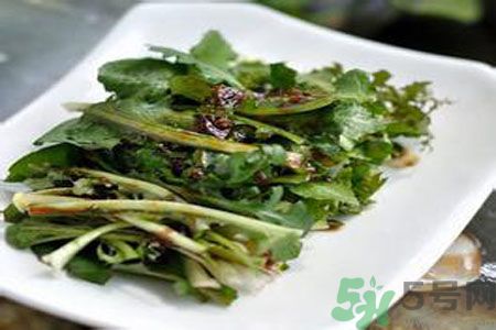 苦菜是酸性還是堿性？苦菜是堿性的嗎？