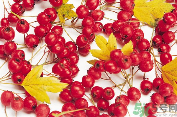 幼兒吃山楂好嗎？幼兒吃山楂片好嗎？