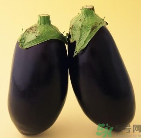 青皮茄子和紫皮茄子有什么區(qū)別？青皮茄子好還是紫皮茄子好？