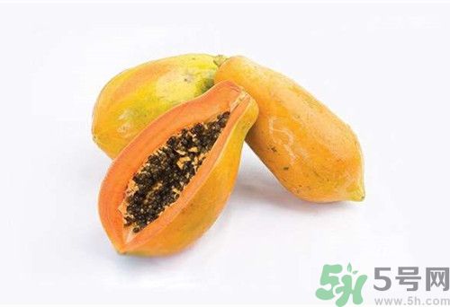 番木瓜是木瓜嗎?番木瓜和木瓜的區(qū)別 番木瓜是木瓜嗎?番木瓜和木瓜的區(qū)別