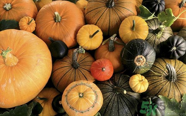 南瓜和筍能一起吃嗎？竹筍和南瓜一起吃好嗎？