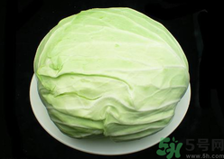 包菜榨汁要加水嗎？包菜汁怎么做？