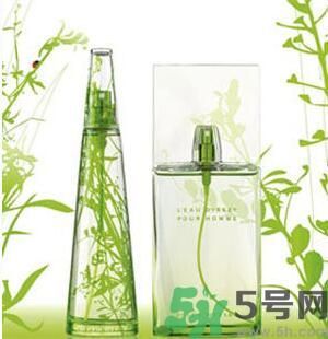 蚊子叮的包過幾天又癢是為什么？蚊子叮的包過幾天又癢怎么辦？