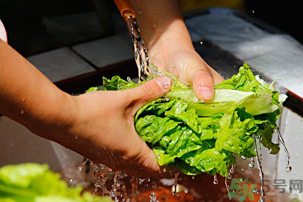 生菜生吃會(huì)有寄生蟲嗎？生菜生吃會(huì)長(zhǎng)寄生蟲嗎？