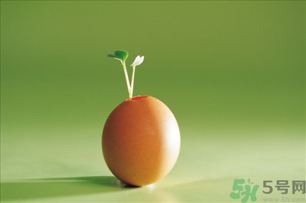 生菜和雞蛋能一起吃嗎？生菜和雞蛋一起怎么做？