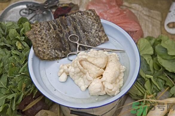 夏天吃蛇肉可以清火嗎？夏天吃蛇肉可以降火嗎？