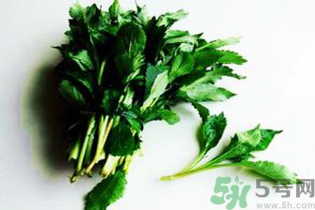 苦菜可以和蝦一起吃嗎？苦菜和蝦一起吃好嗎？