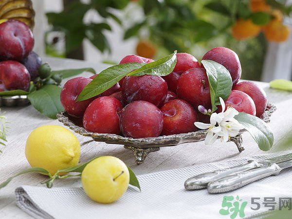 為什么說李子樹下埋死人？李子的食用禁忌有哪些？