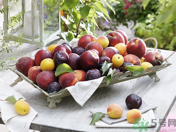 為什么說李子樹下埋死人？李子的食用禁忌有哪些？