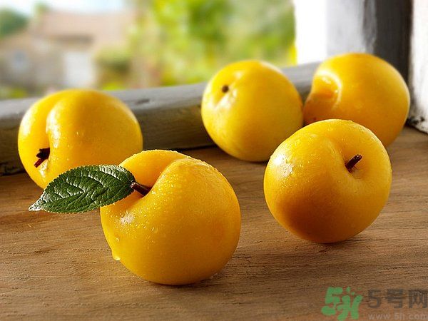 為什么說李子樹下埋死人？李子的食用禁忌有哪些？