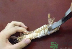 剝蝦神器怎么用？剝蝦神器在哪里買？