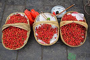 櫻桃核吞下去了怎么辦？不小心吃了櫻桃核怎么辦？