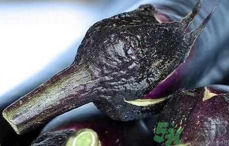 茄子把有什么功效？茄子蒂有什么功效？