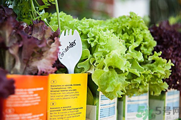 生菜和豆腐能一起吃嗎？生菜和豆腐怎么做好吃？