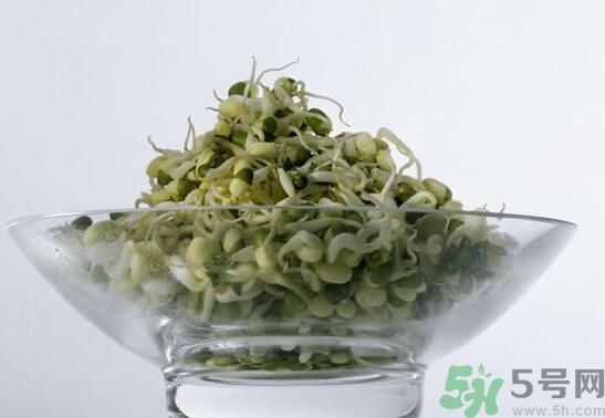 夏天吃綠豆芽可以清火嗎？夏天吃綠豆芽能降火嗎？