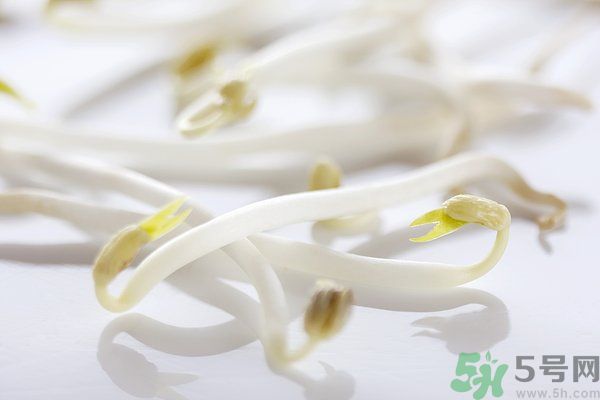 綠豆芽是涼性的嗎？綠豆芽是涼性還是熱性？