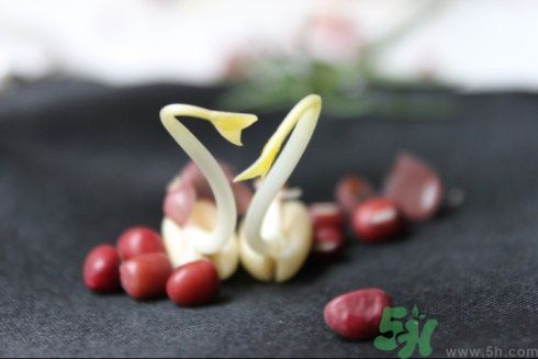 紅豆可以發(fā)豆芽嗎？紅豆芽可以吃嗎？