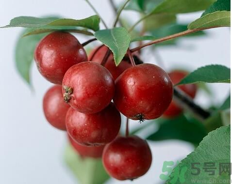 山楂可以生吃嗎？生吃山楂好嗎？
