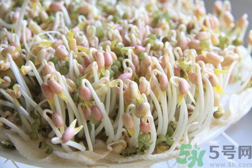 吃毛豆可以減肥嗎？吃毛豆有減肥作用嗎？