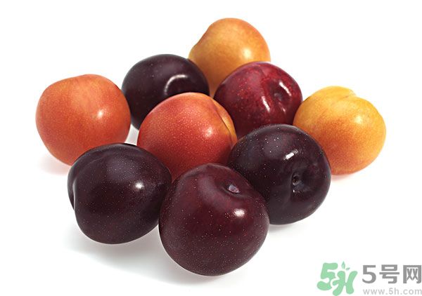 灰子孕婦可以吃嗎？灰子能不能吃？