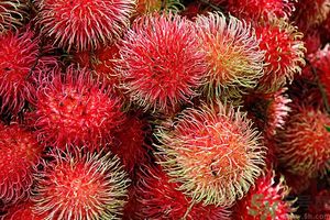 吃紅毛丹上火嗎？吃紅毛丹上火怎么辦？