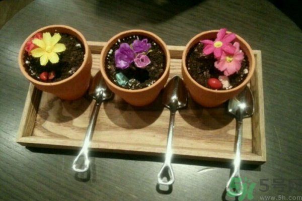 盆栽冰淇淋哪里買？盆栽冰淇淋怎么做？