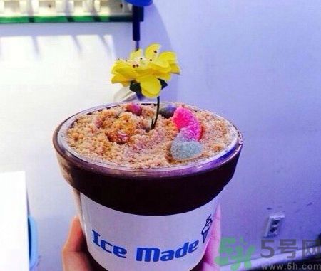 盆栽冰淇淋哪里買？盆栽冰淇淋怎么做？