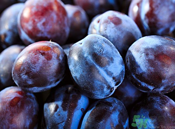 灰子和李子有什么區(qū)別？灰子的功效與禁忌