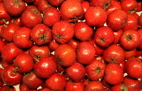 貧血可以吃山楂嗎？貧血能吃山楂嗎？