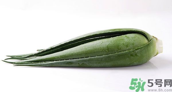 經(jīng)期可以吃蘆薈嗎？經(jīng)期吃蘆薈會肚子痛嗎？