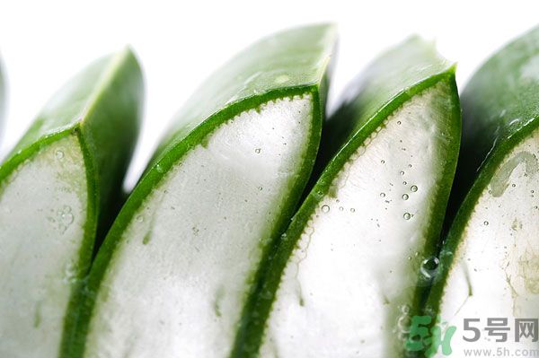 孕婦可以吃蘆薈嗎？孕婦吃蘆薈會(huì)怎樣？