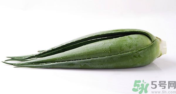 孕婦可以吃蘆薈嗎？孕婦吃蘆薈會怎樣？