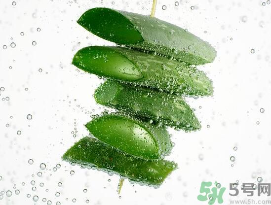 夏天吃蘆薈可以降火嗎？夏天吃蘆薈能清火嗎？