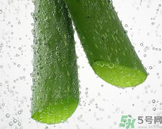 夏天吃蘆薈可以降火嗎？夏天吃蘆薈能清火嗎？