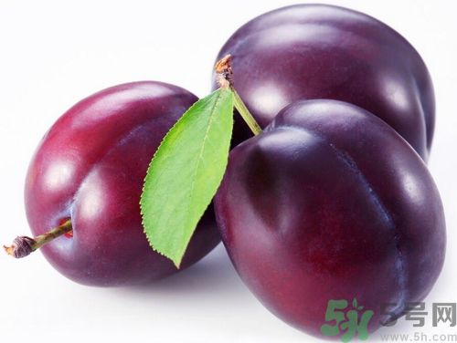 芒果可以和李子一起吃嗎？芒果和李子一起吃好嗎？