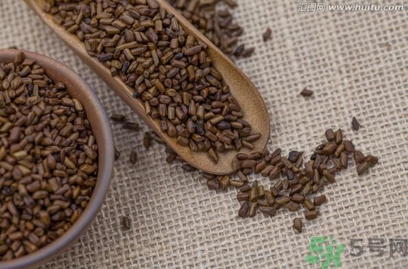 孕婦可以喝決明子茶通便嗎？孕婦通便可以喝決明子茶嗎？