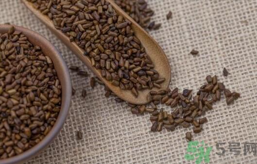 決明子泡茶加什么好？決明子和什么一起泡好？