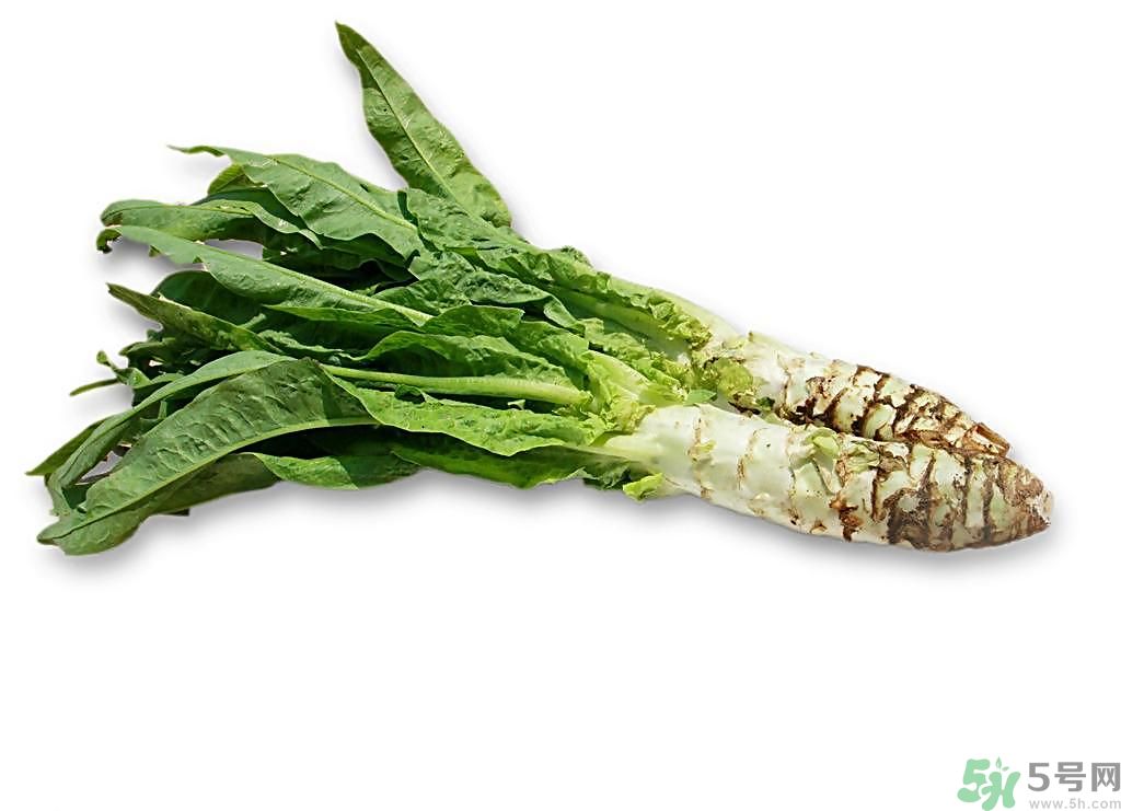 新鮮的萵筍怎么保存？削皮的萵筍怎么保存？