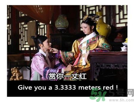 什么是蜀葵？蜀葵是一丈紅嗎？