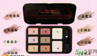 Solone繽紛樂園8色眼彩盒真假辨別 Solone繽紛樂園8色眼彩盒真假辨別