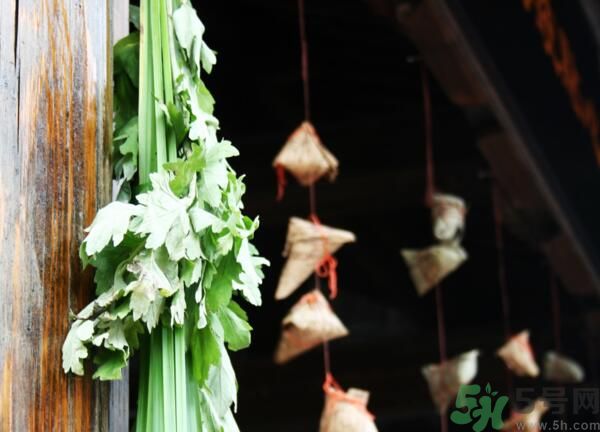 艾葉有什么保健作用？艾葉怎么使用？