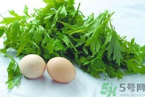 艾葉有什么保健作用？艾葉怎么使用？